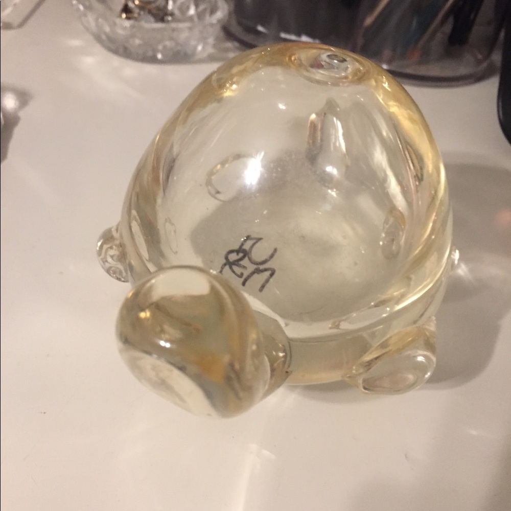 turtle glass thing